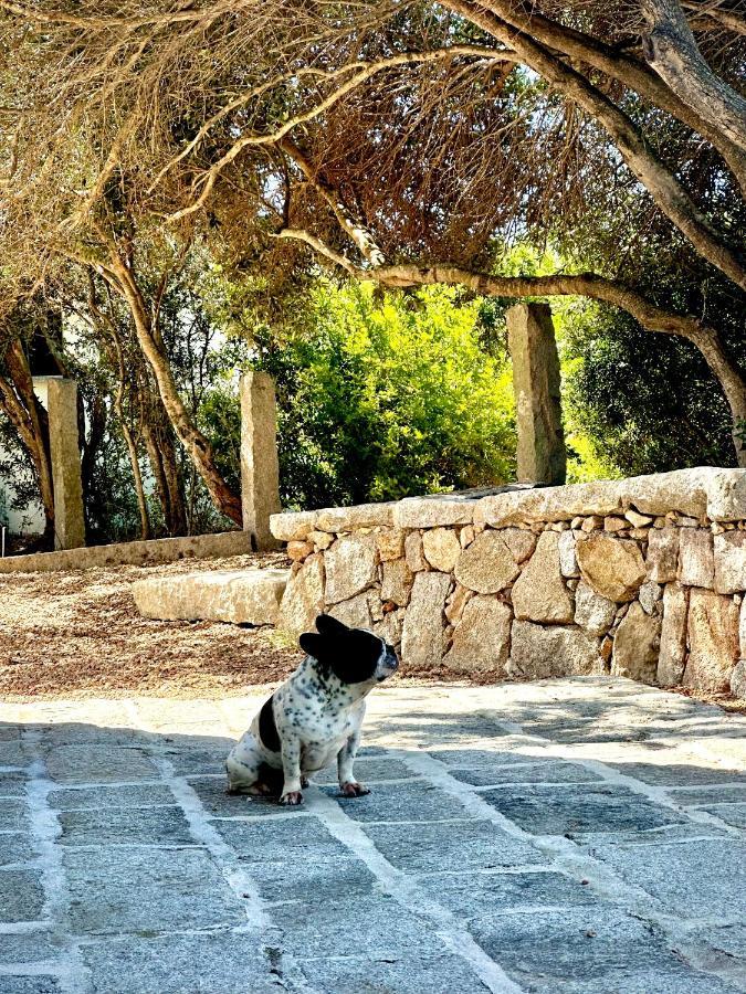Villa Maria Cristina Santa Teresa Gallura Bagian luar foto