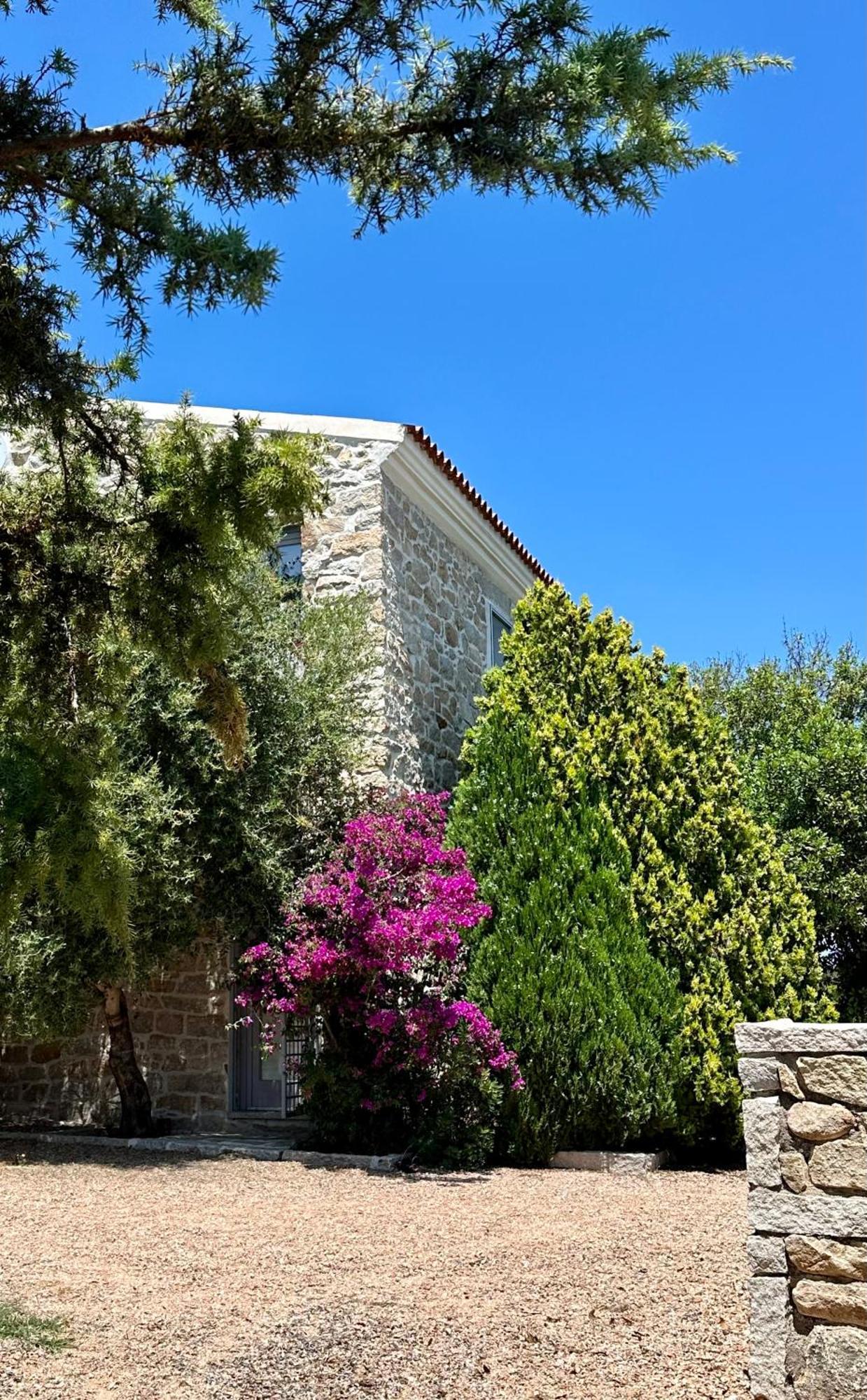 Villa Maria Cristina Santa Teresa Gallura Bagian luar foto
